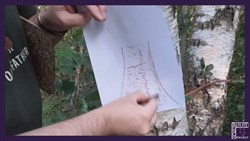 bark rubbing