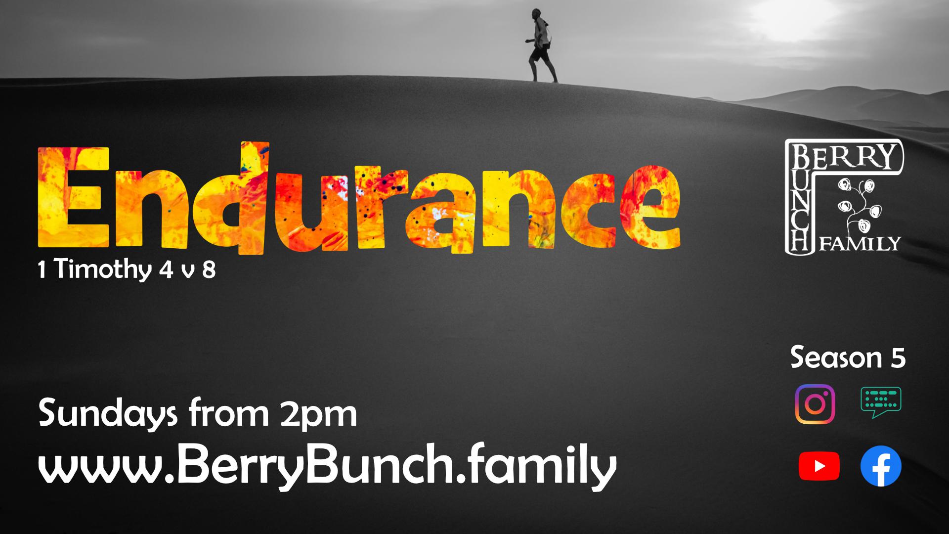 Endurance Advert, v4, high res